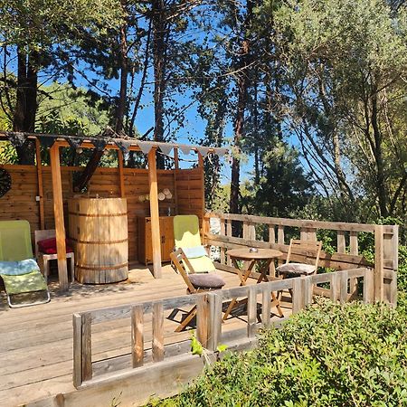 Coin Exotique Villa Casaeva Porto Vecchio Esterno foto