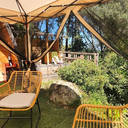 Coin Exotique Villa Casaeva Porto Vecchio Esterno foto